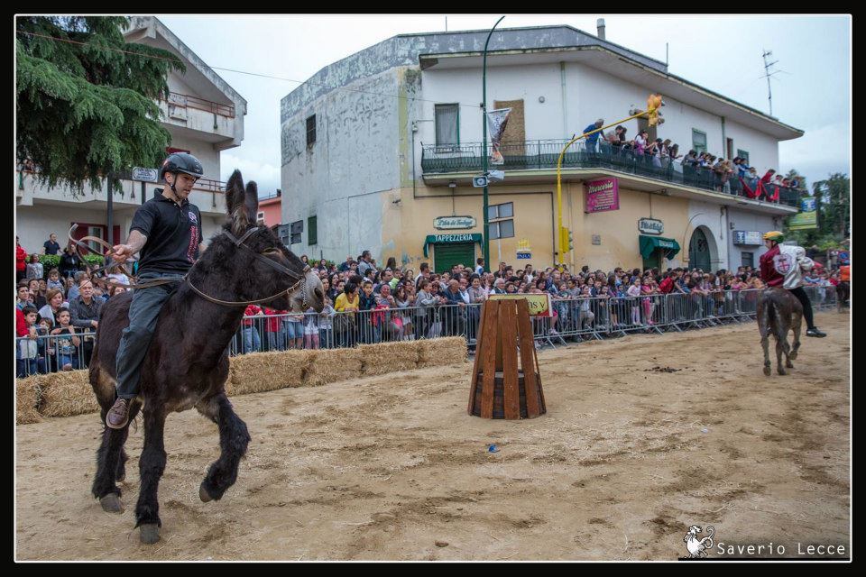 Palio del Casale 2013