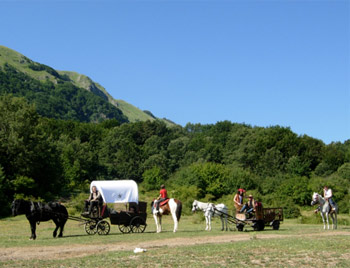 La Transumanza