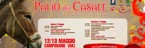 Palio del Casale 2012